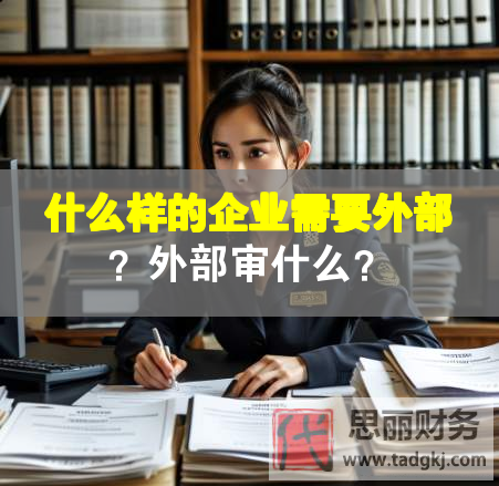 什么样的企业需要外部？外部审什么？