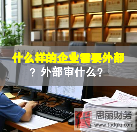 什么样的企业需要外部？外部审什么？