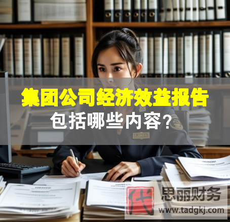 集团公司经济效益报告包括哪些内容？