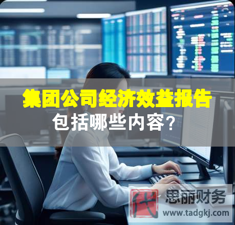 集团公司经济效益报告包括哪些内容？