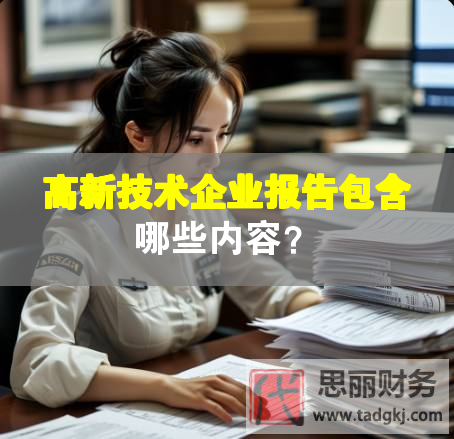 高新技术企业报告包含哪些内容？