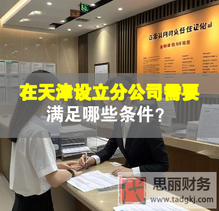 在天津设立分公司需要满足哪些条件？